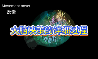 大脑决策的详细过程